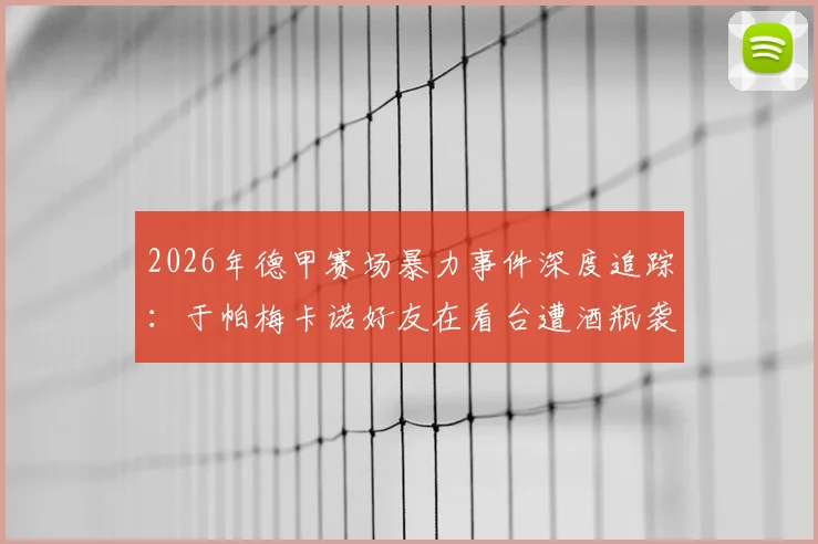 2026年德甲赛场暴力事件深度追踪：于帕梅卡诺好友在看台遭酒瓶袭击血流满面，图片报独家披露现场细节与后续处理